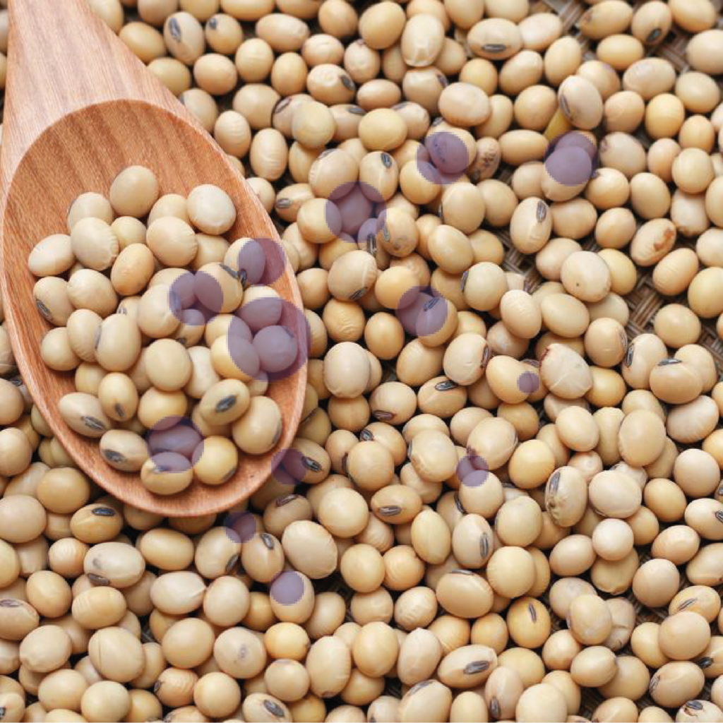 COWPEA